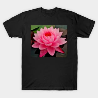 vibrant pink water lily on still water T-Shirt